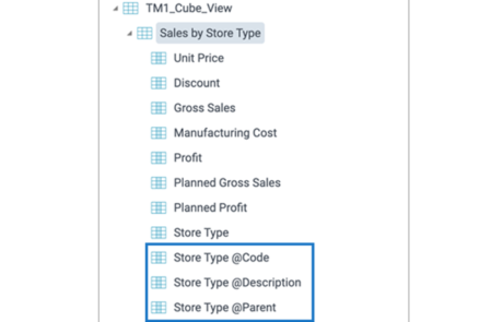 Query data from TM1 MDX views